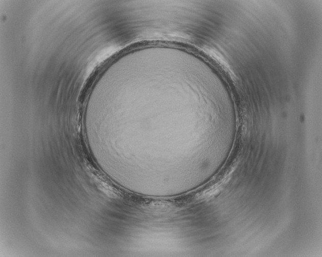 X0000088590974200706151732