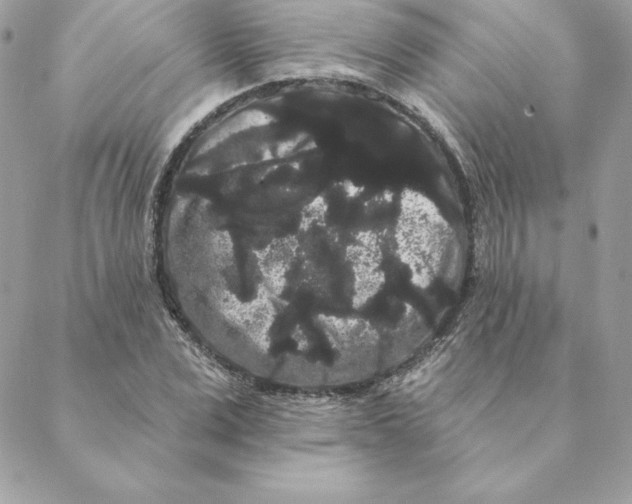 X0000088590975200706151732