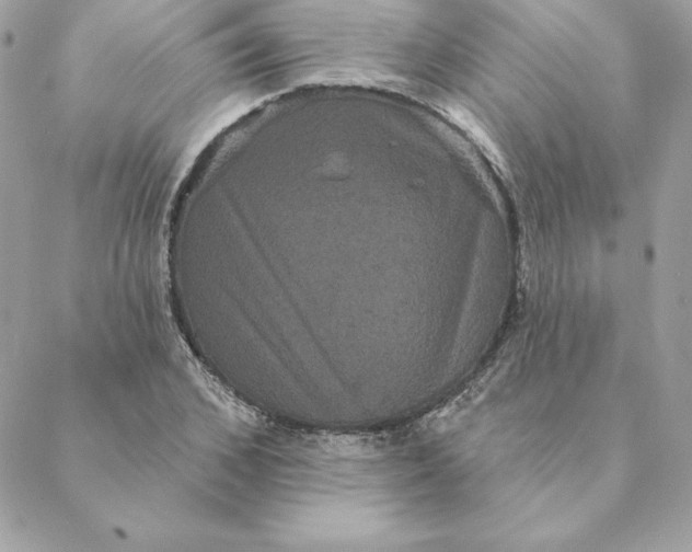 X0000088590976200706151732