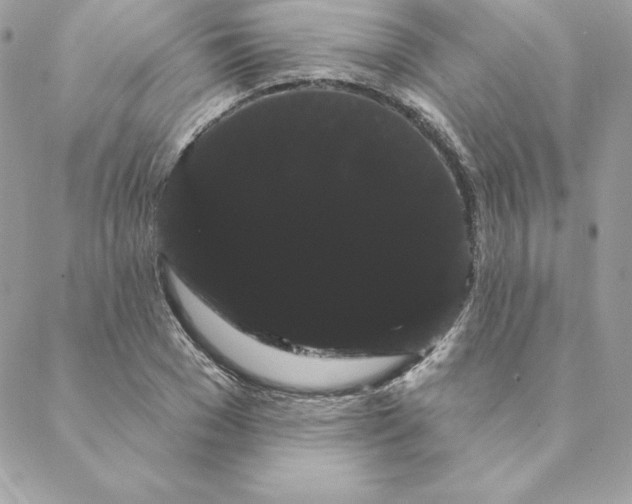 X0000088590977200706151732