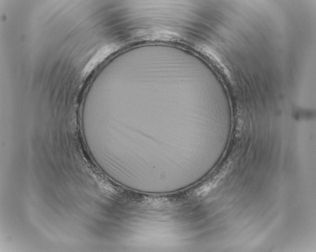 X0000088590978200706151732