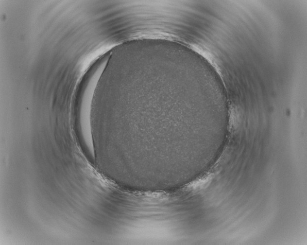 X0000088590979200706151732