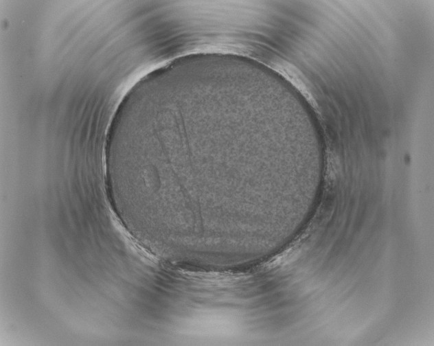 X0000088590980200706151732