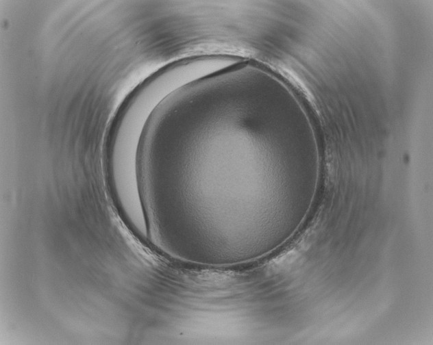 X0000088590981200706151732