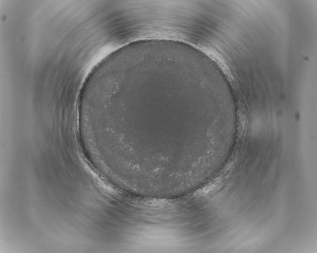 X0000088590982200706151732