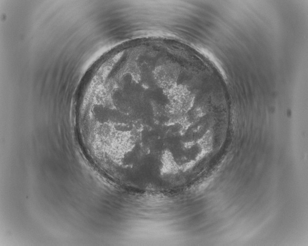 X0000088590983200706151732