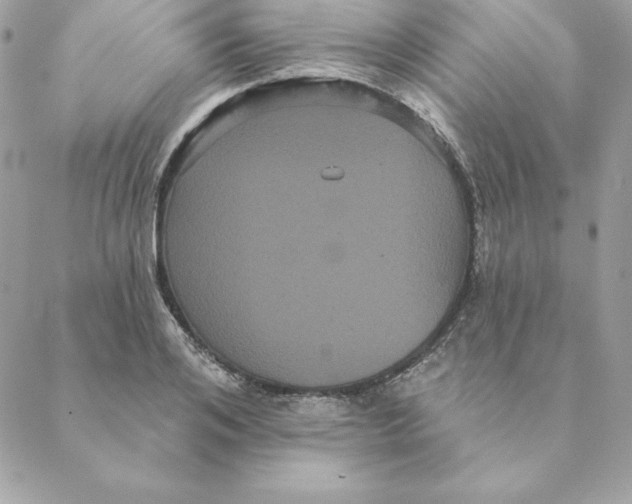 X0000088590984200706151732