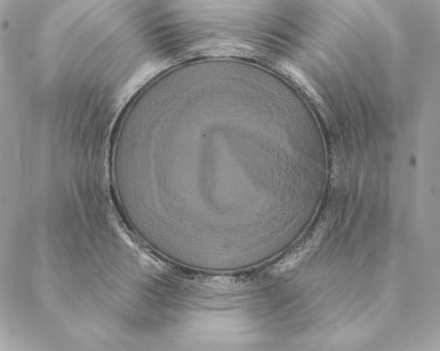 X0000088590986200706151732