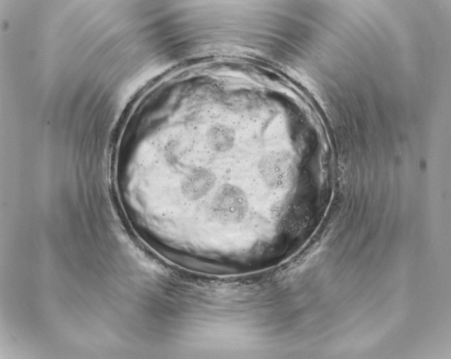 X0000088590987200706151732