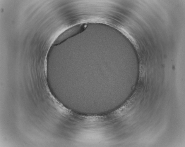 X0000088590988200706151732