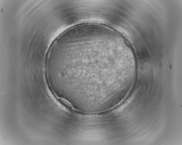 X0000088590989200706151732