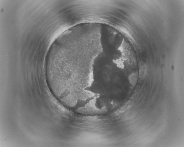 X0000088590990200706151732