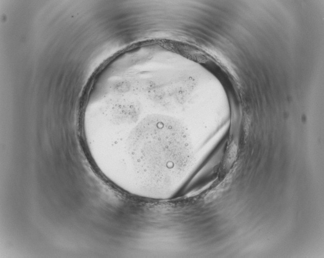 X0000088590991200706151732