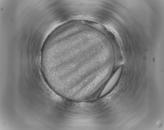 X0000088590992200706151732