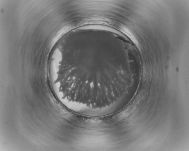 X0000088590994200706151732