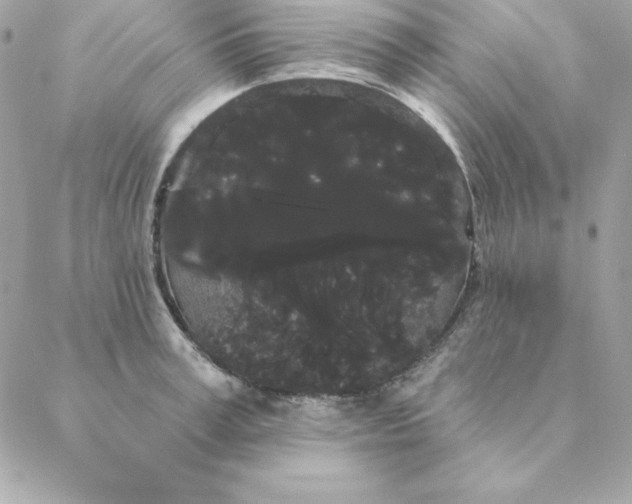 X0000088590995200706151732