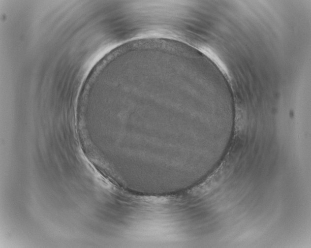 X0000088590996200706151732