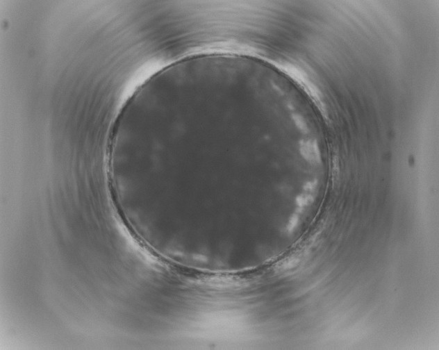 X0000088590998200706151732