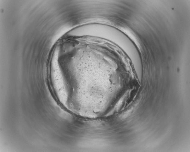 X0000088590999200706151732