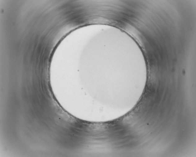 X0000088591000200706151732