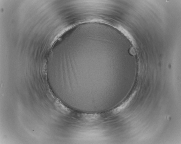 X0000088591001200706151732