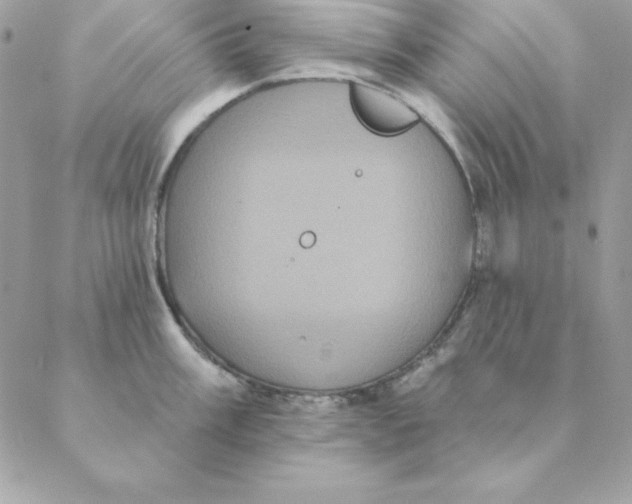 X0000088591003200706151732