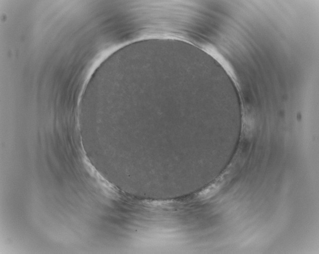 X0000088591004200706151732