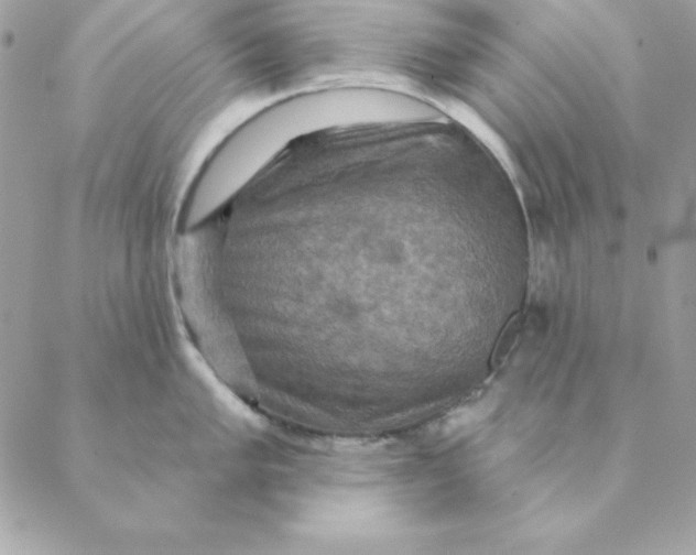 X0000088591005200706151732