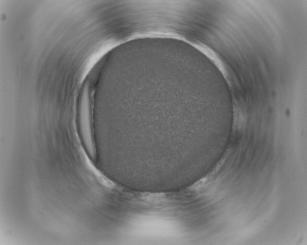 X0000088591006200706151732