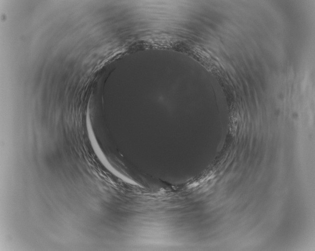 X0000088591010200706151731