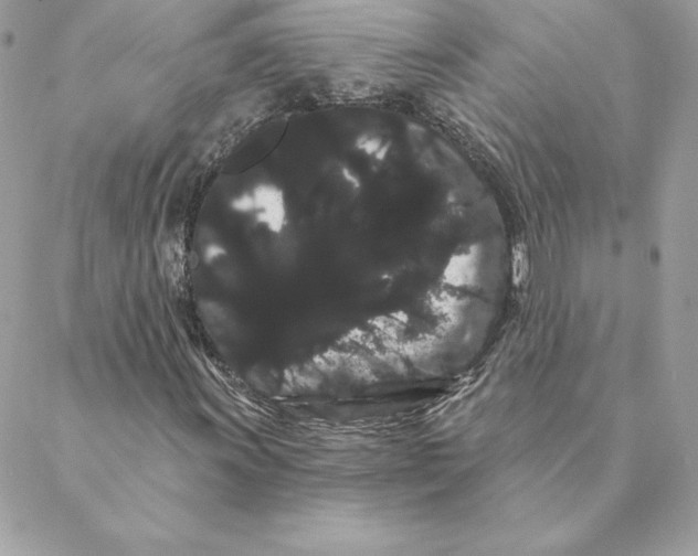 X0000088591011200706151731