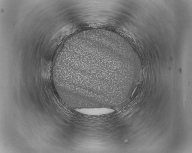 X0000088591012200706151731