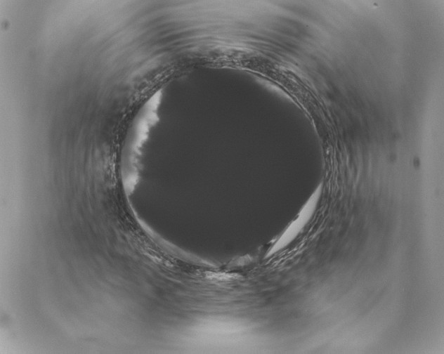 X0000088591013200706151731