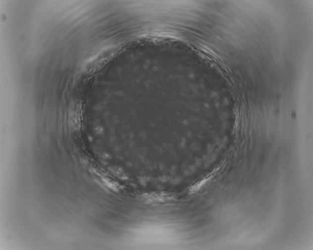 X0000088591014200706151731