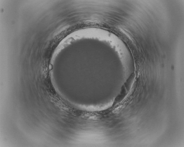 X0000088591015200706151731