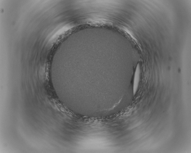 X0000088591016200706151731