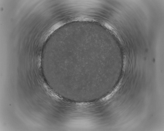 X0000088591017200706151731