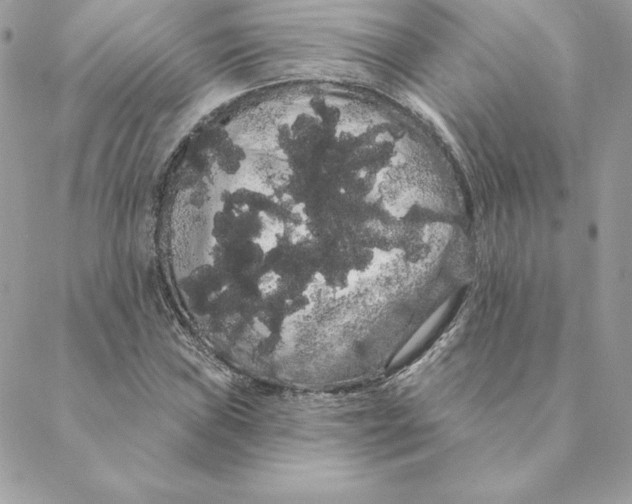 X0000088591019200706151731