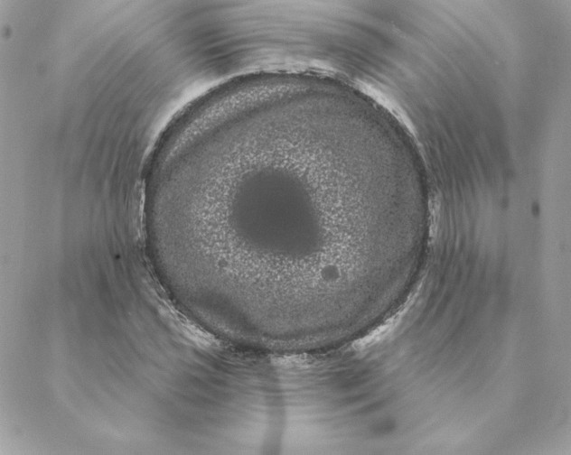 X0000088591021200706151731