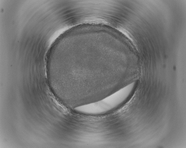 X0000088591022200706151731