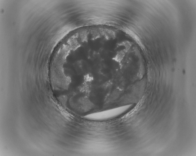 X0000088591023200706151731