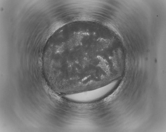 X0000088591025200706151731