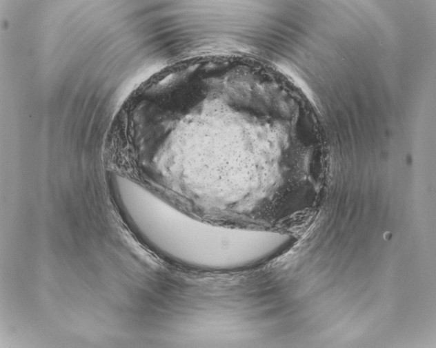 X0000088591026200706151731