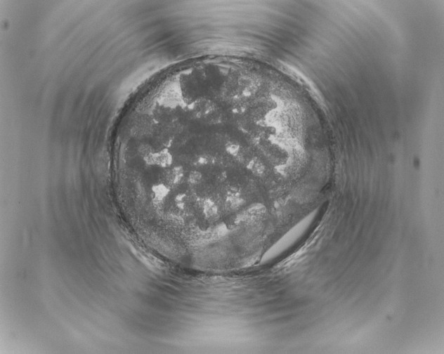 X0000088591027200706151731