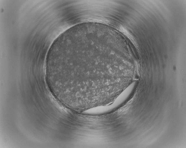 X0000088591028200706151731