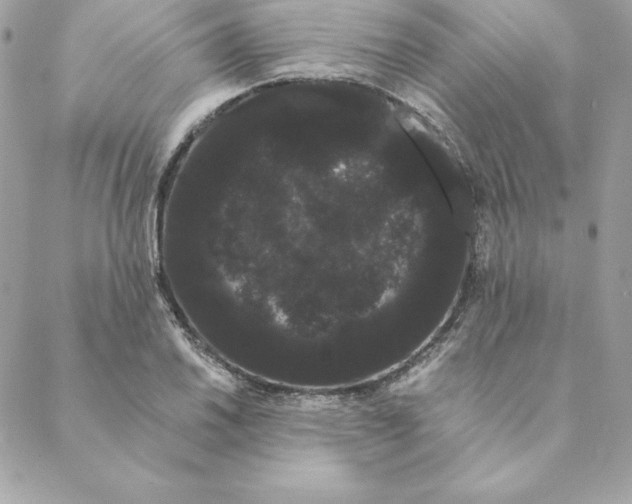 X0000088591030200706151731