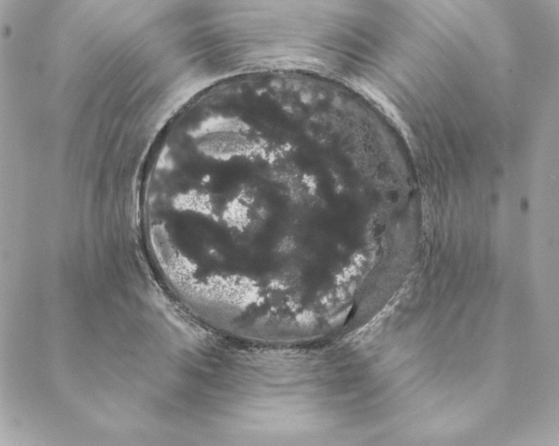 X0000088591031200706151731