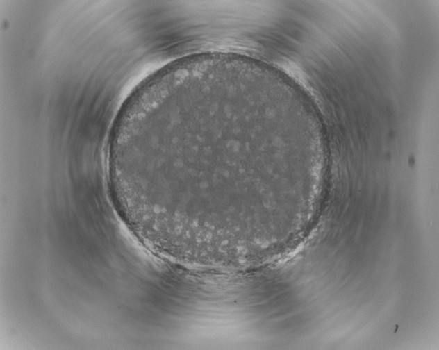 X0000088591032200706151731