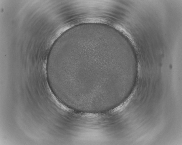 X0000088591033200706151731