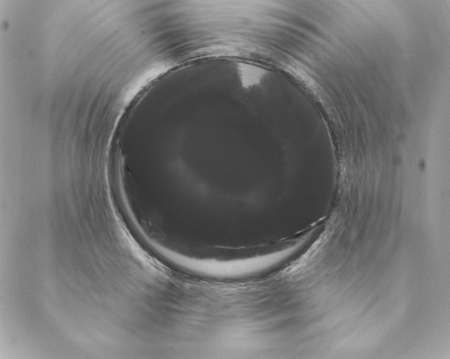 X0000088591034200706151731